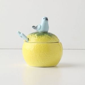 Vintage Anthropologie sugar bowl bluebird on grapefruit